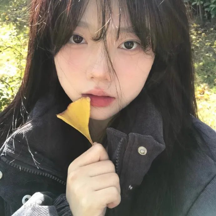 驼峰上的爱
